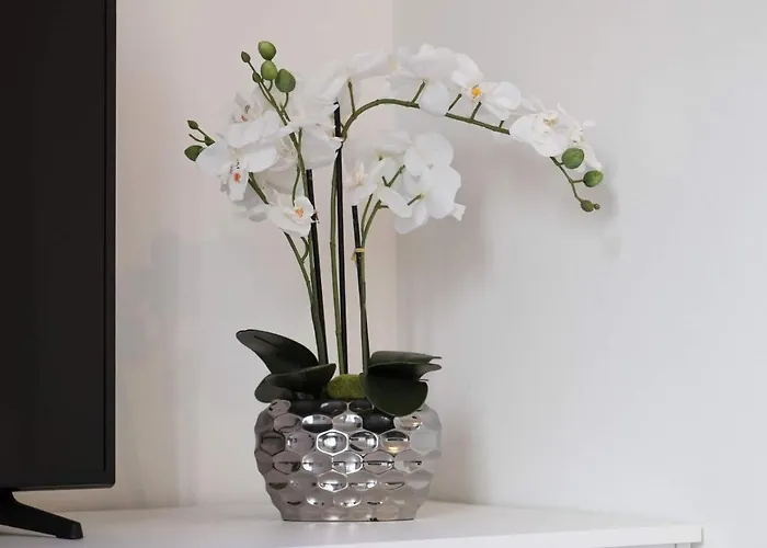 Executive Single With En-suite In Centre Luxemburg